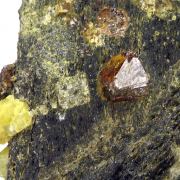 Fluorcalciopyrochlore, zircon, aegirine, magnetite