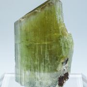 Diaspore