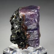 CORUNDUM var. RUBY, MUSCOVITE