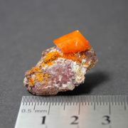 Wulfenite - Rowley Mine, Maricopa Co., Arizona, USA