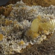 Paradamite on Smithsonite