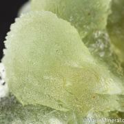 Prehnite