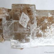 Inyoite With Meyerhofferite