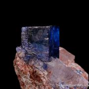 Halite on Sylvite