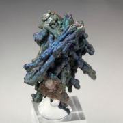 CHALCOCITE, DJURLEITE