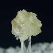 Wardite
