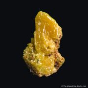 Wulfenite ps. Anglesite