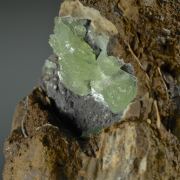 Anapaite - crystals in Fossil Clam Shell