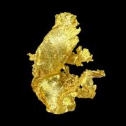 Gold TN!