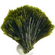 Epidote