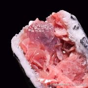 Fluorite in Rhodochrosite pocket