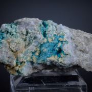 Posnjakite