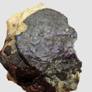 Covellite (Illustrated!)