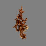 Crystallized Copper