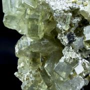 Fluorapatite with Muscovite
