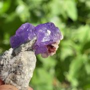 Coquimbite, Krausite, Roemerite – Monte Arsiccio, Lucca, Tuscany, Italy