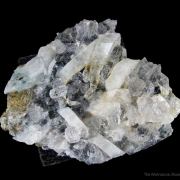 Whitlockite