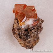 Wulfenite (Rough & Cut set)
