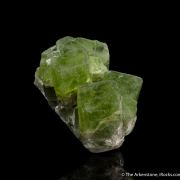 Forsterite var. Peridot