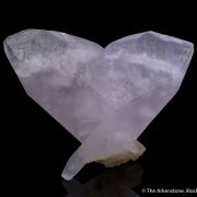 Calcite var. Manganoan (butterfly-twinned)