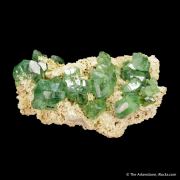 Andradite var. Demantoid Garnet