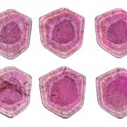 Tourmaline Var. Liddicoatite