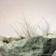 Millerite