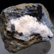 Neptunite