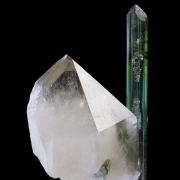 Elbaite Tourmaline, on Quartz