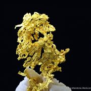 Gold on Quartz