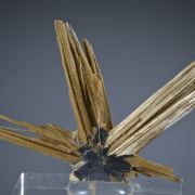Rutile - radiating twins on Hematite crystal