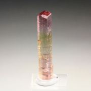 gem TOURMALINE var. ELBAITE bi-color