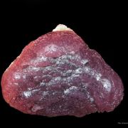 Tourmaline on Schorl