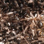 Hubeite and  Inesite  (very fine, type locality)