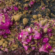 Kolwezite, Malachite on Cobaltian Calcite