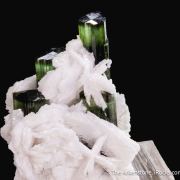 Elbaite Tourmaline with Lepidolite in Cleavelandite