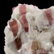 Tourmaline with Cleavelandite