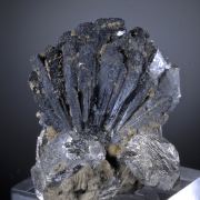 Hedenbergite with Arsenopyrite