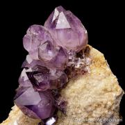 Quartz var. Amethyst on Matrix