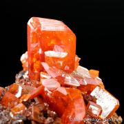 Wulfenite