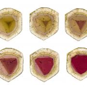 Tourmaline Var. Liddicoatite