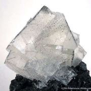 Fluorite And Sphalerite