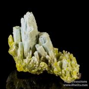 Plumbogummite ps Pyromorphite