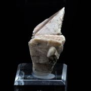 Orthoclase.