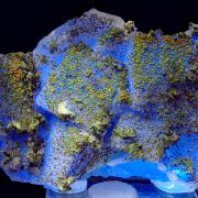 Fluorite, pyrite,