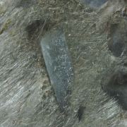Titanite with Adularia, Byssolite, Apatite etc.