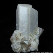 Microcline With Quartz, Cleavelandite, and Muscovite