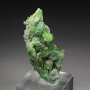gem GARNET var. GROSSULAR with GREEN CHROMIAN PHANTOMS, DIOPSIDE
