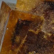 Fluorite - Zoned phantom crystals, classic locale