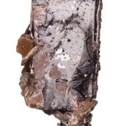 Wulfenite